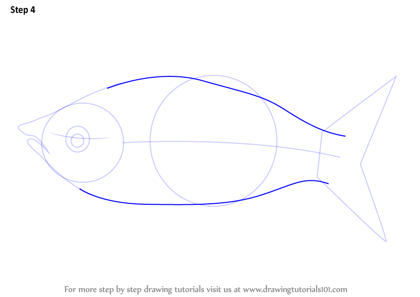 Learn How to Draw a Rainbow Fish (Fishes) Step by Step : Drawing Tutorials