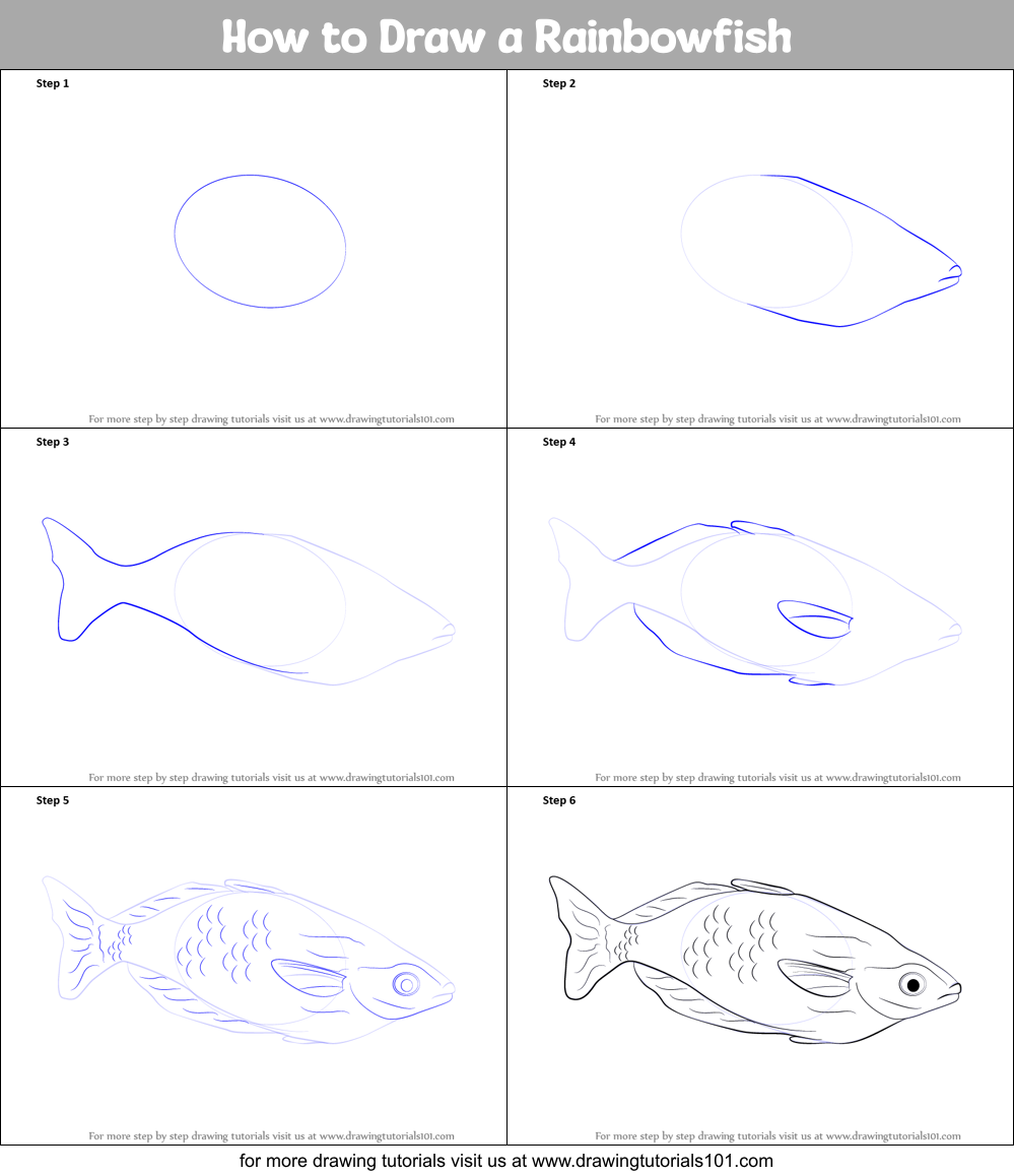 How to Draw a Rainbowfish printable step by step drawing sheet ...