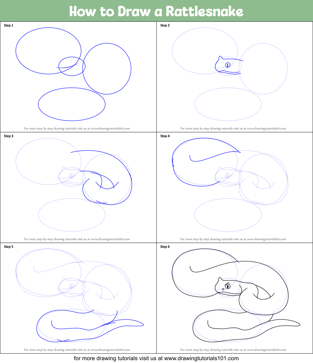 how to draw a rattlesnake