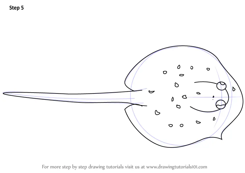 Learn How to Draw a Ray Fish (Fishes) Step by Step Drawing Tutorials