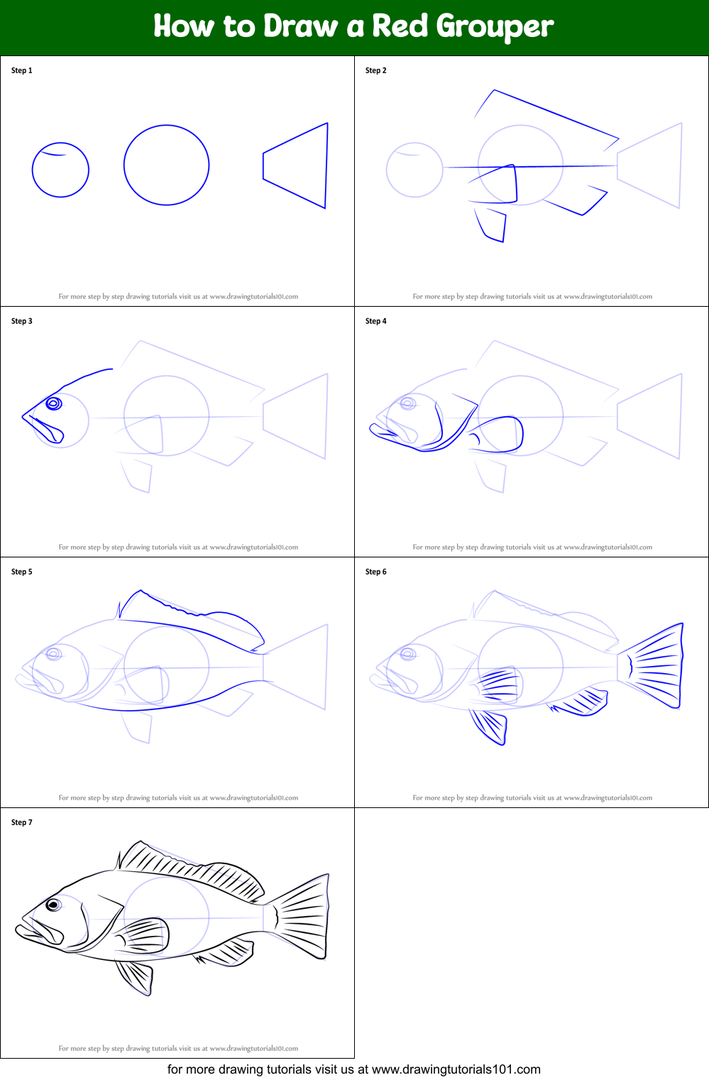 How to Draw a Red Grouper printable step by step drawing sheet ...