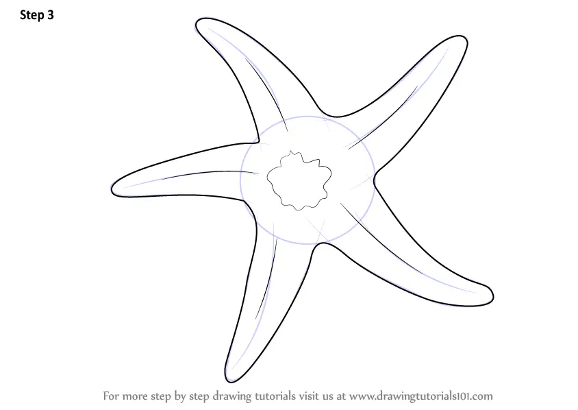 Step by Step How to Draw a Starfish : DrawingTutorials101.com