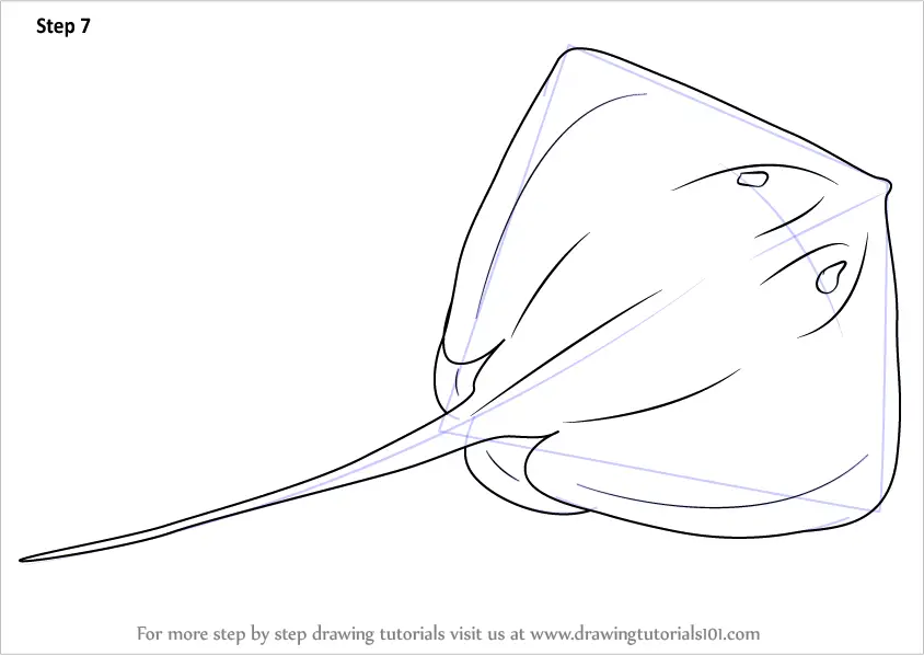 Learn How to Draw a Stingray (Fishes) Step by Step Drawing Tutorials