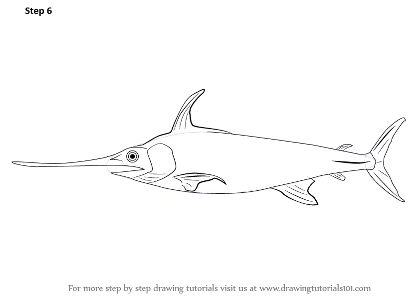 Learn How to Draw a Sword Fish (Fishes) Step by Step Drawing Tutorials