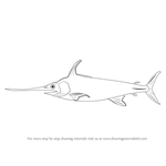 How to Draw a Sword Fish