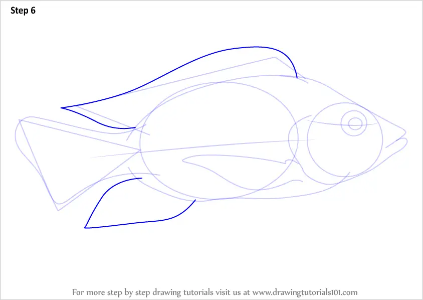 how to draw and label diagram of Fish easily - step by step / How to draw  Fish in just 5 minutes - YouTube