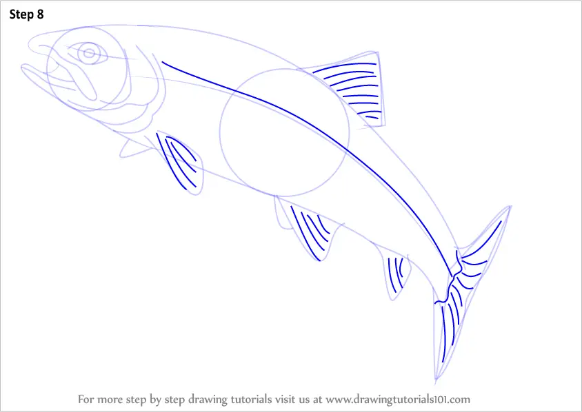 Learn How to Draw a Trout (Fishes) Step by Step Drawing Tutorials
