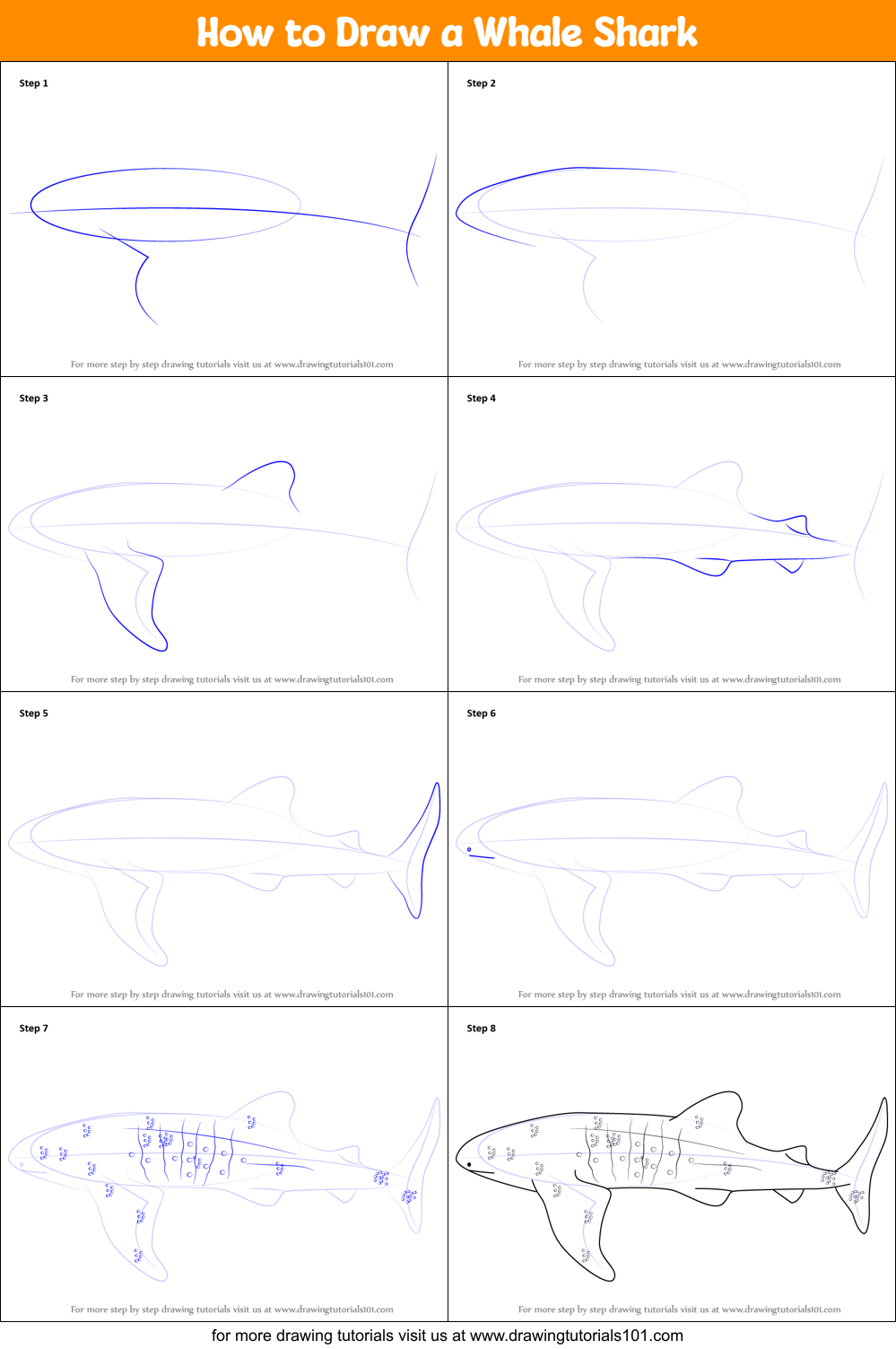 How to Draw a Whale Shark printable step by step drawing sheet