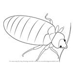 Bed Bug coloring page  Free Printable Coloring Pages