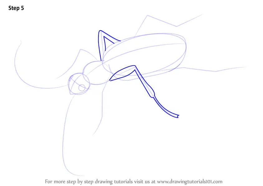 Step by Step How to Draw a Bombardier Beetle : DrawingTutorials101.com