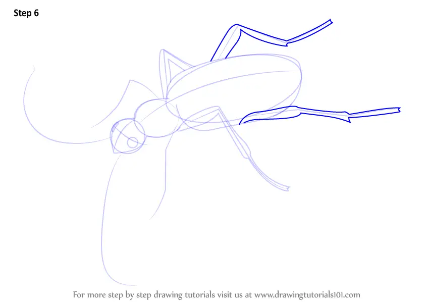 Step by Step How to Draw a Bombardier Beetle : DrawingTutorials101.com