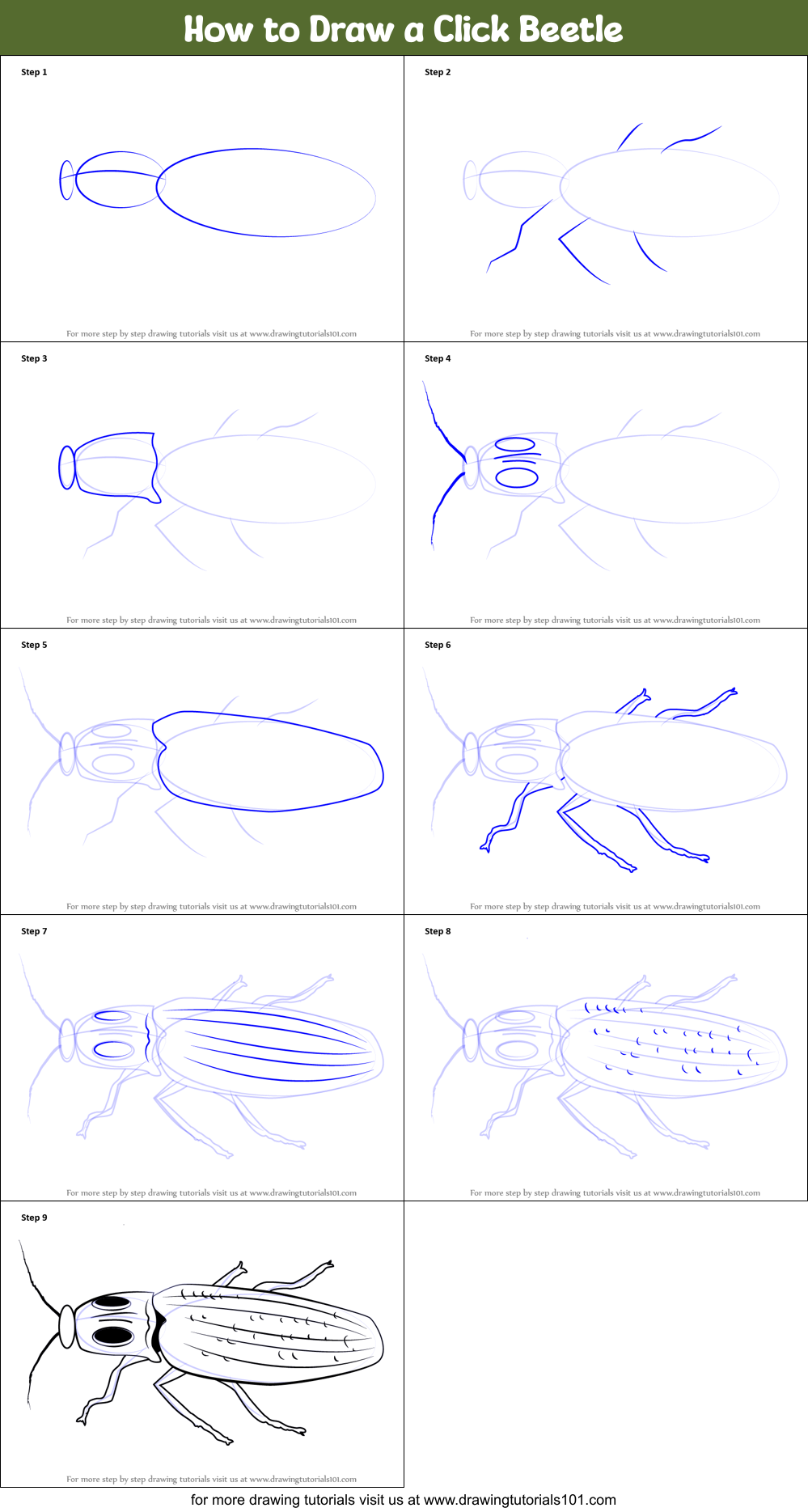 How to Draw a Click Beetle printable step by step drawing sheet ...