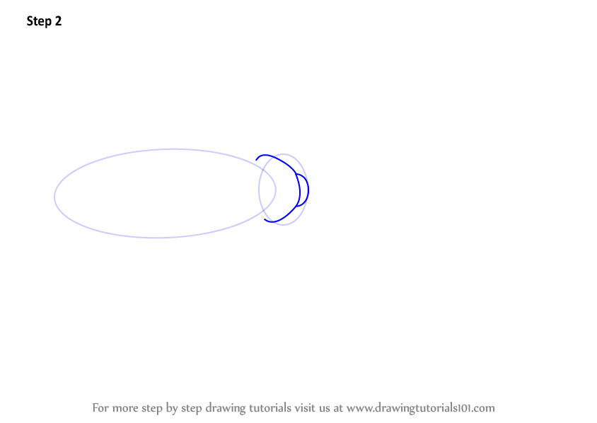 Learn How to Draw a Cockroach (Insects) Step by Step : Drawing Tutorials