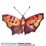 How to Draw a Eastern Comma
