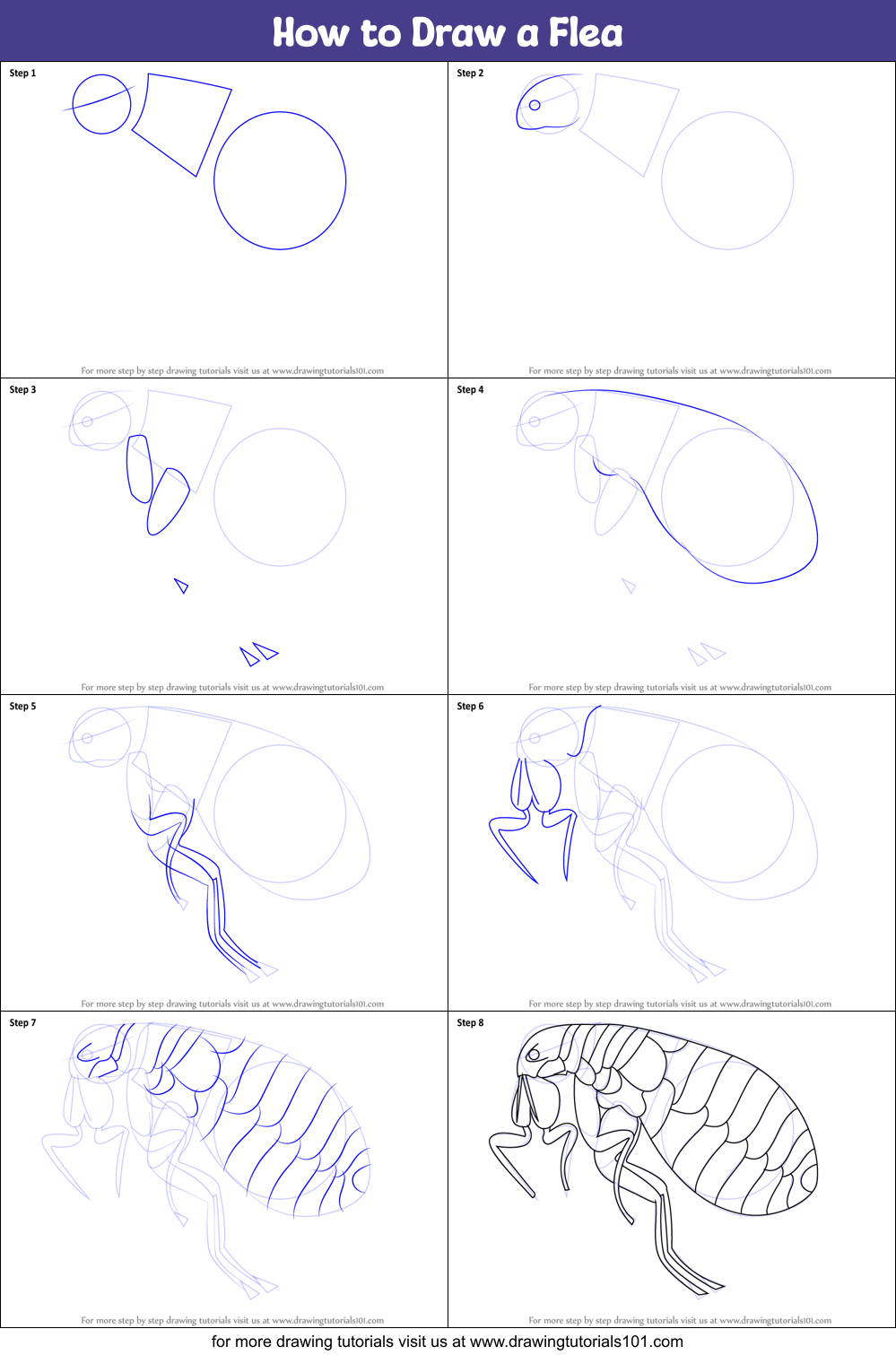 How to Draw a Flea printable step by step drawing sheet