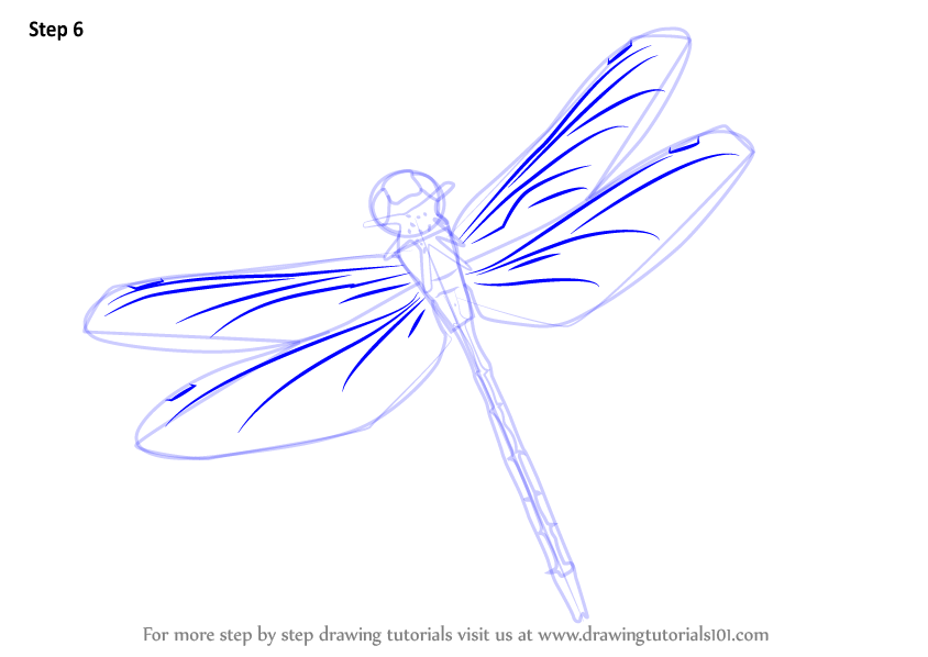 Step by Step How to Draw a Flying Dragonfly : DrawingTutorials101.com