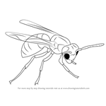 How to Draw a Hornet