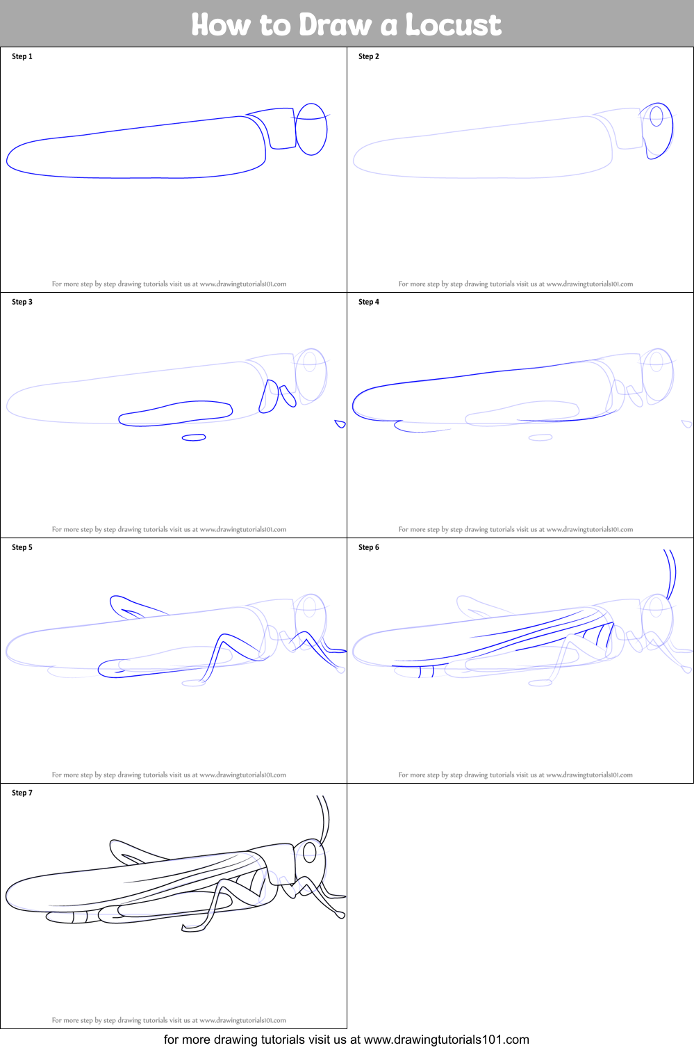 How to Draw a Locust printable step by step drawing sheet