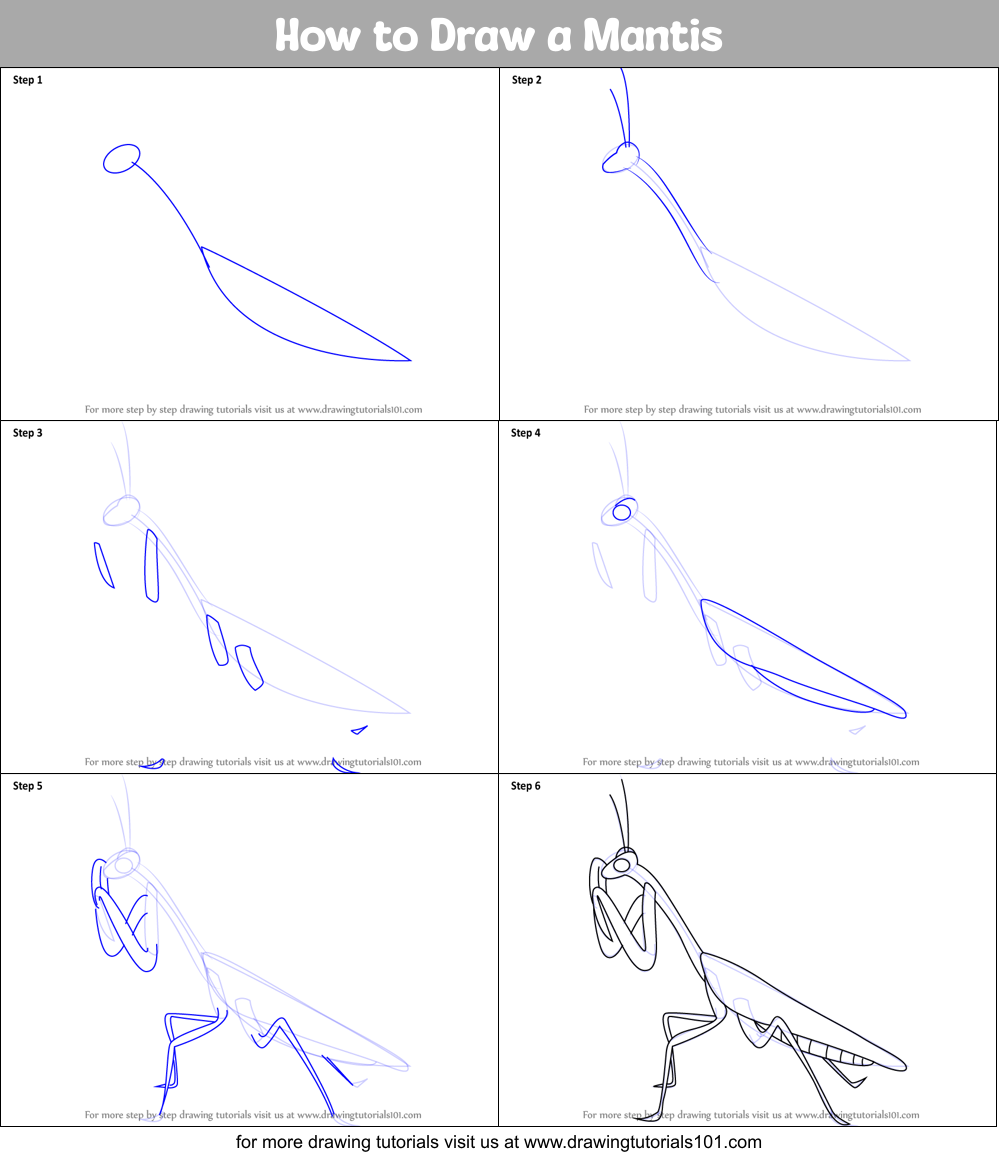 How to Draw a Mantis printable step by step drawing sheet