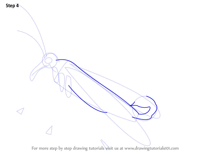 Learn How to Draw a Mecoptera (Insects) Step by Step : Drawing Tutorials