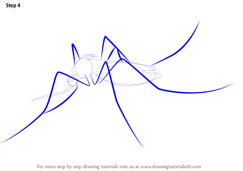 Learn How to Draw a Mosquito (Insects) Step by Step : Drawing Tutorials