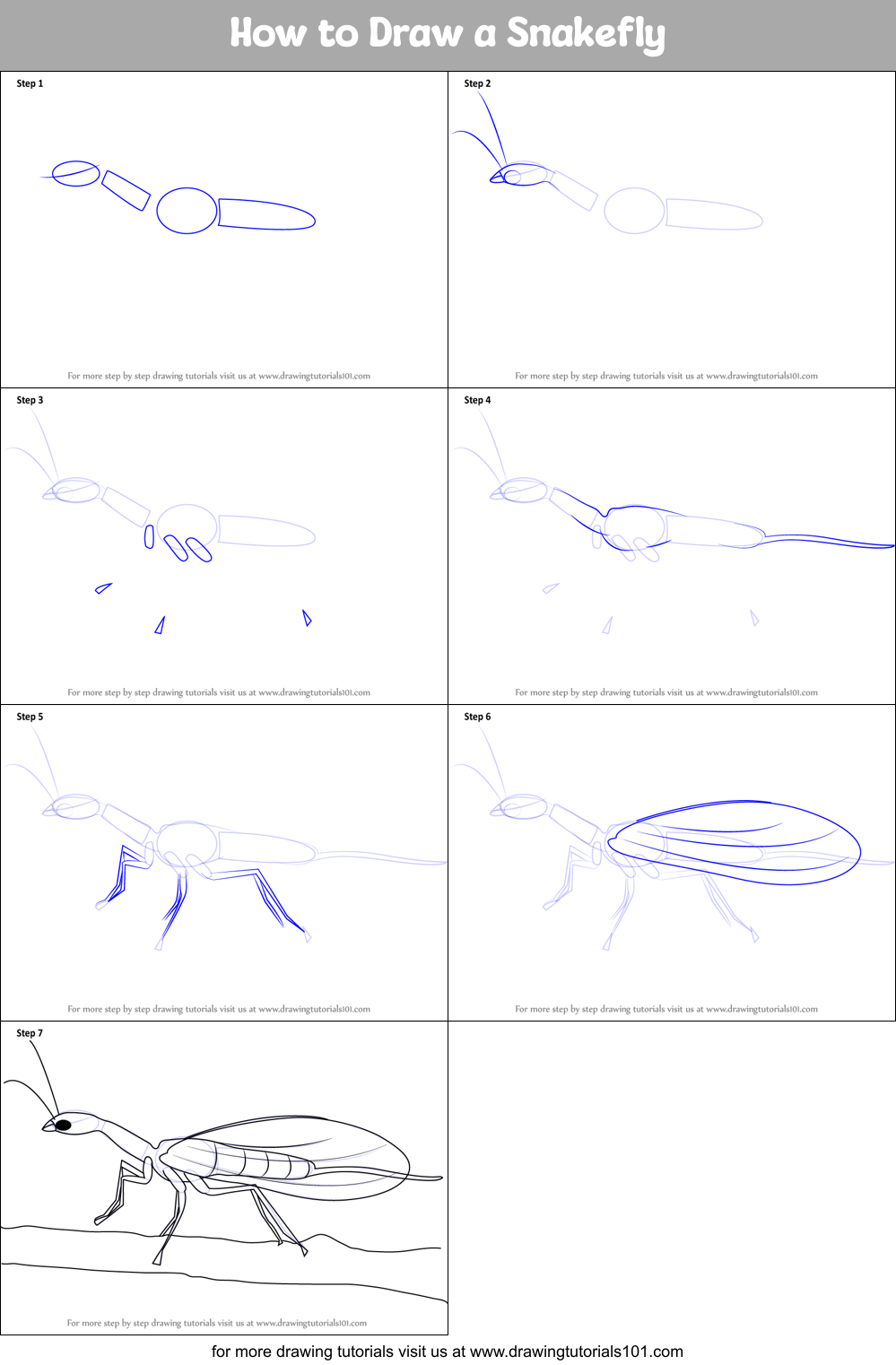 How to Draw a Snakefly printable step by step drawing sheet ...