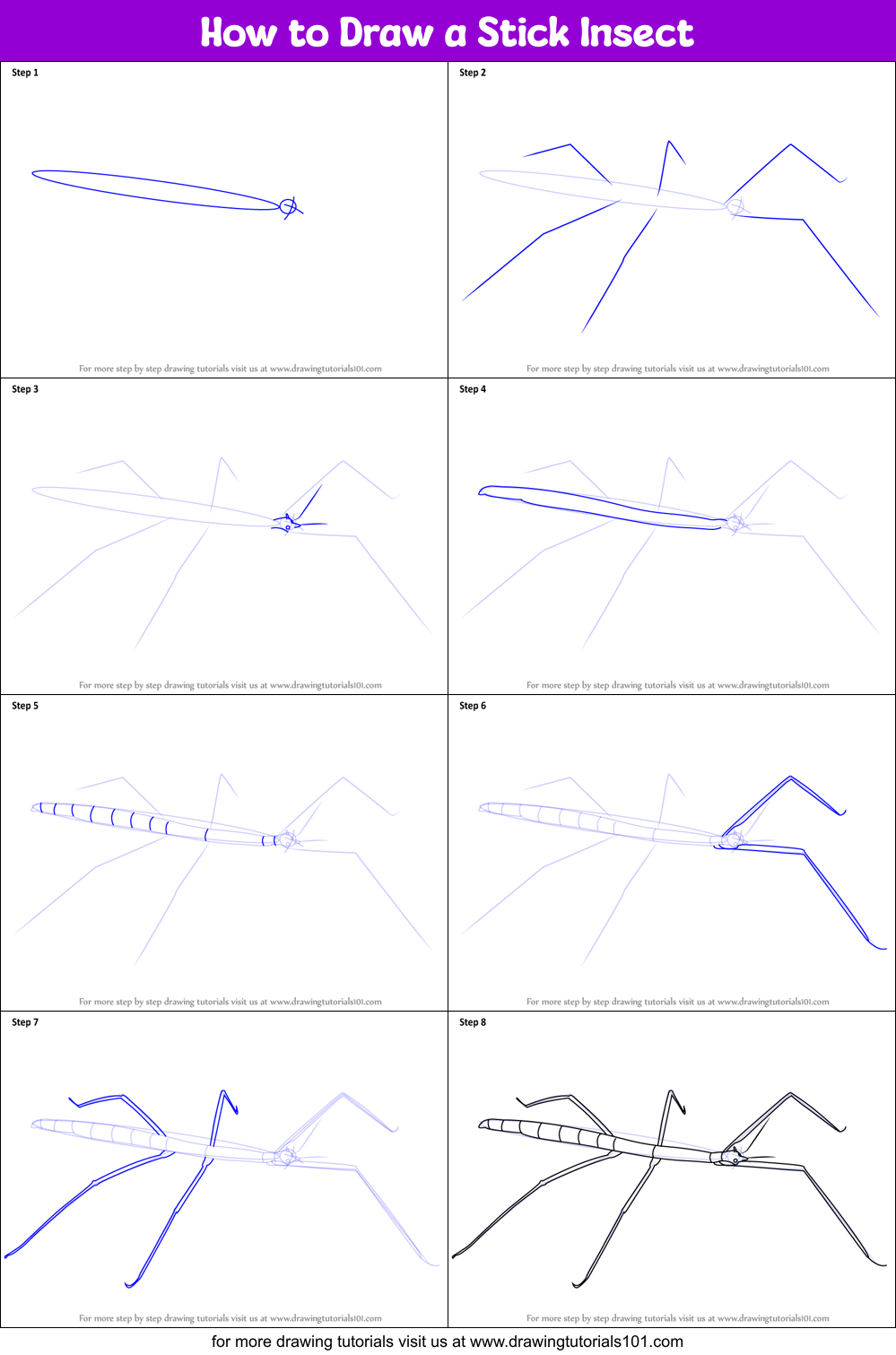 how-to-draw-a-stick-insect-printable-step-by-step-drawing-sheet