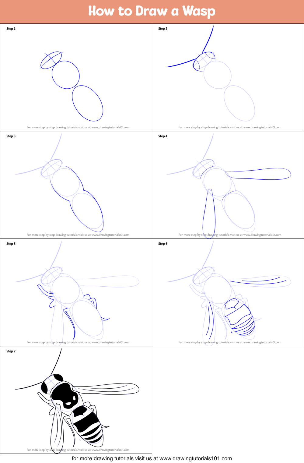 How to Draw a Wasp printable step by step drawing sheet