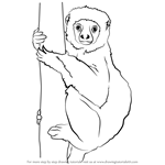 How to Draw a Lemur on a Tree