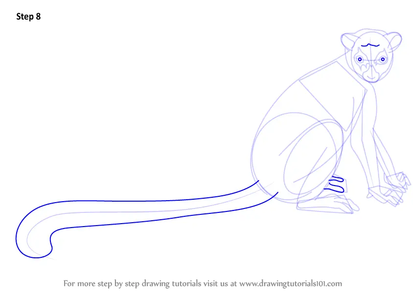 Step by Step How to Draw a RingTailed Lemur