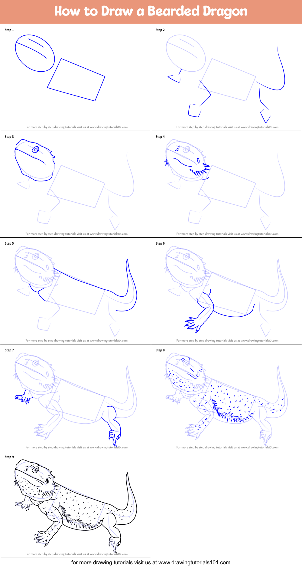 How to Draw a Bearded Dragon printable step by step drawing sheet