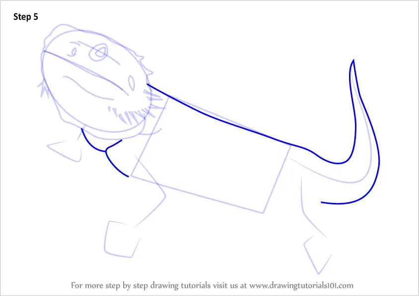 Step by Step How to Draw a Bearded Dragon : DrawingTutorials101.com