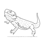 Step by Step How to Draw a Bearded Dragon : DrawingTutorials101.com