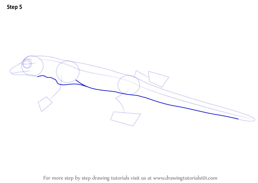 Learn How to Draw a Day Gecko (Lizards) Step by Step : Drawing Tutorials