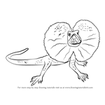 How to Draw a Frilled Lizard