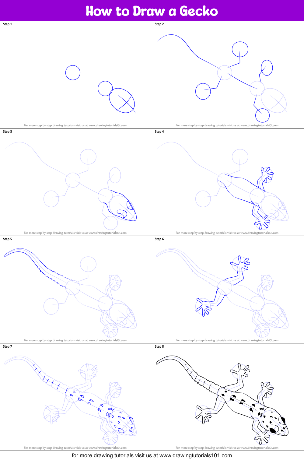 How to Draw a Gecko printable step by step drawing sheet