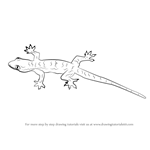 How to Draw a Lizard