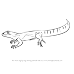 How to Draw an Oaxacan Spiny-Tailed Iguana