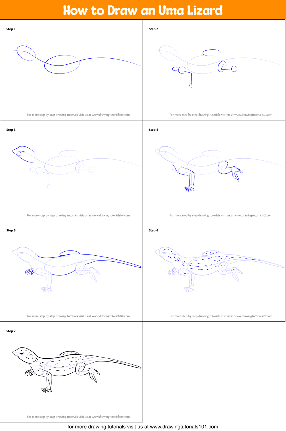 How to Draw an Uma Lizard printable step by step drawing sheet ...