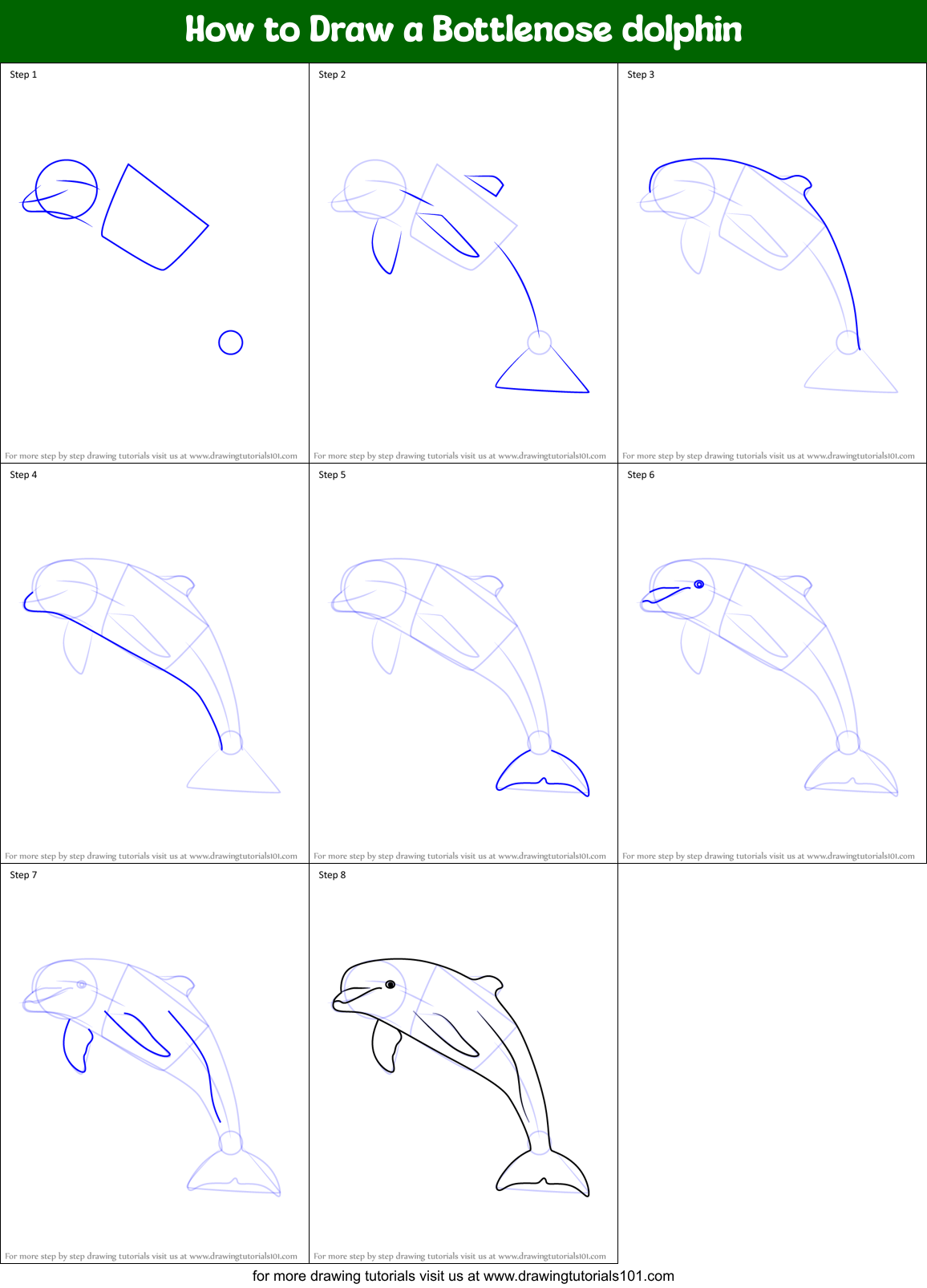 How to Draw a Bottlenose dolphin printable step by step drawing sheet