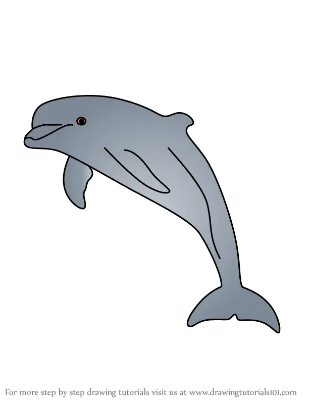 Learn How to Draw a Bottlenose dolphin (Marine Mammals) Step by Step