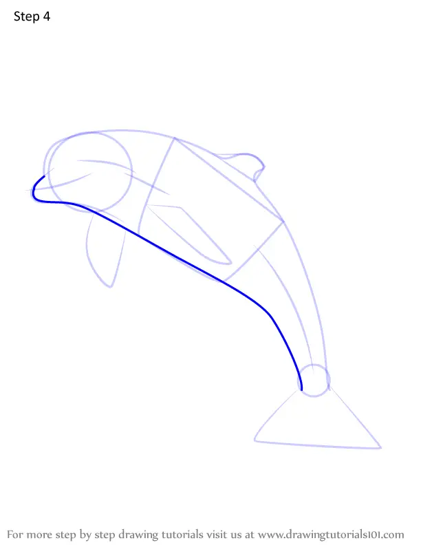 Learn How to Draw a Bottlenose dolphin (Marine Mammals) Step by Step