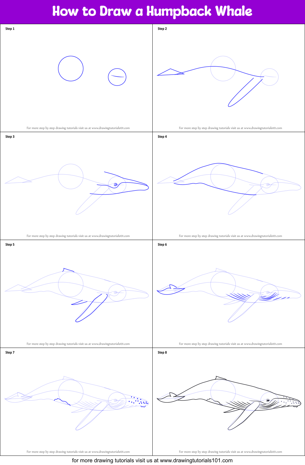 How to Draw a Humpback Whale printable step by step drawing sheet ...