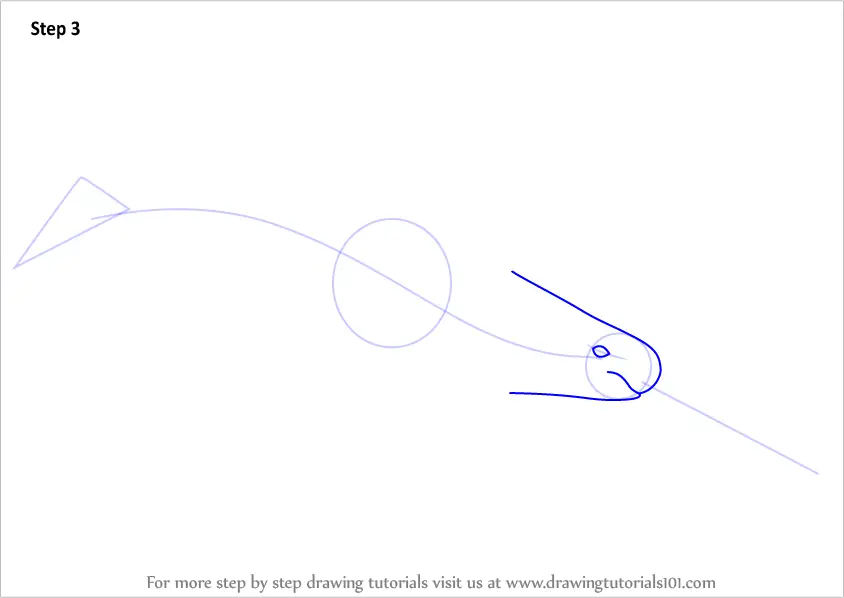 Step by Step How to Draw a Narwhale : DrawingTutorials101.com