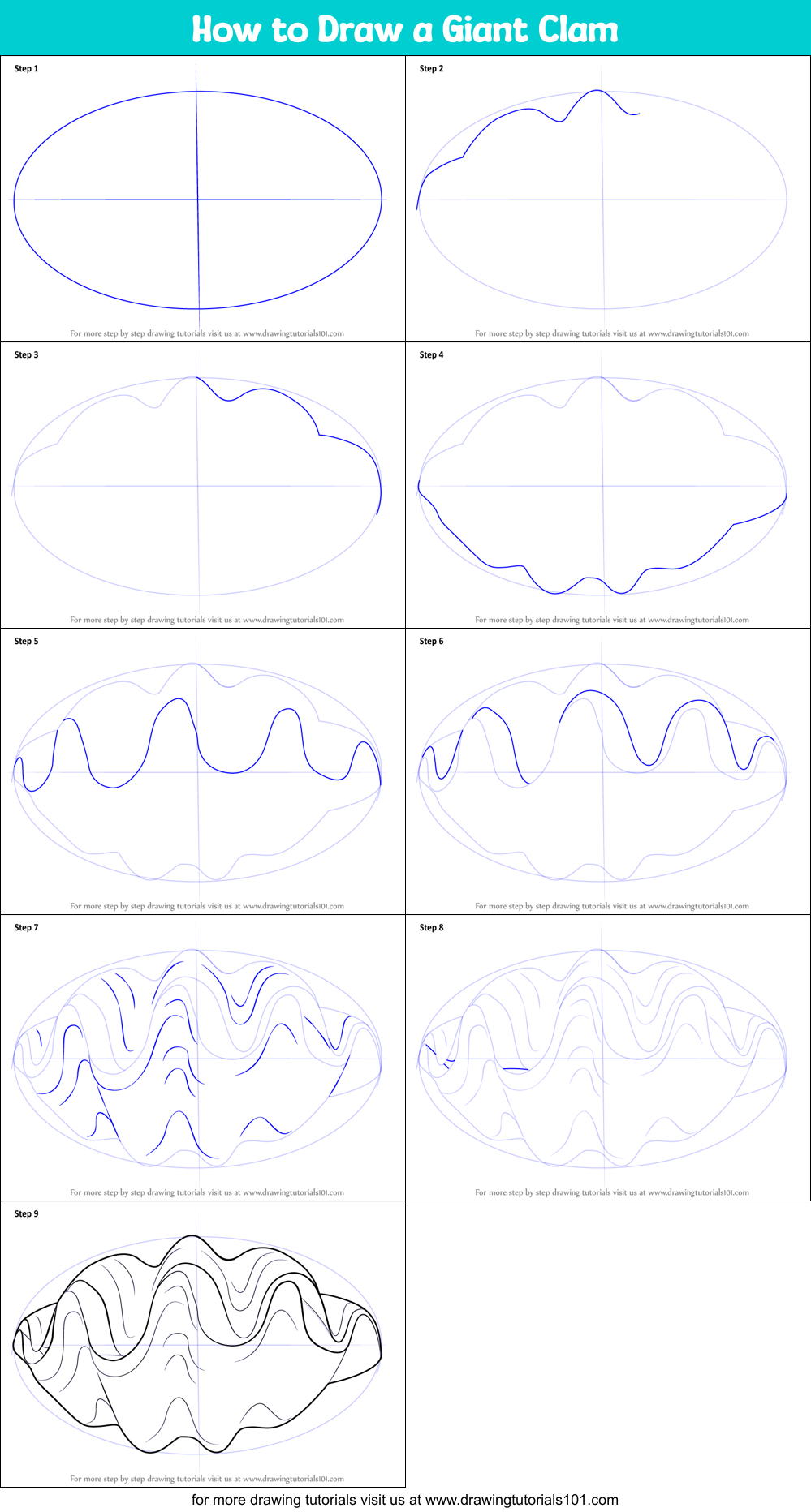 How to Draw a Giant Clam printable step by step drawing sheet