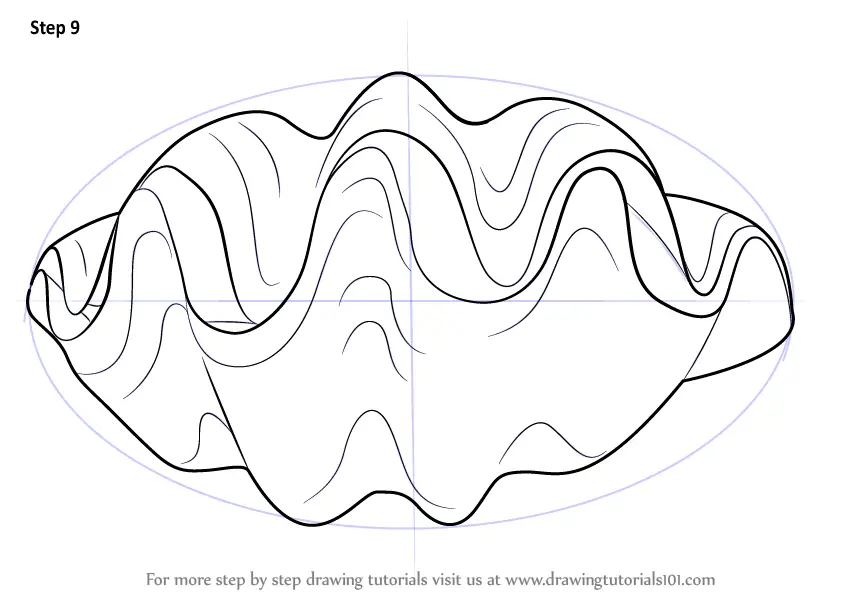 Learn How to Draw a Giant Clam (Mollusks) Step by Step Drawing Tutorials