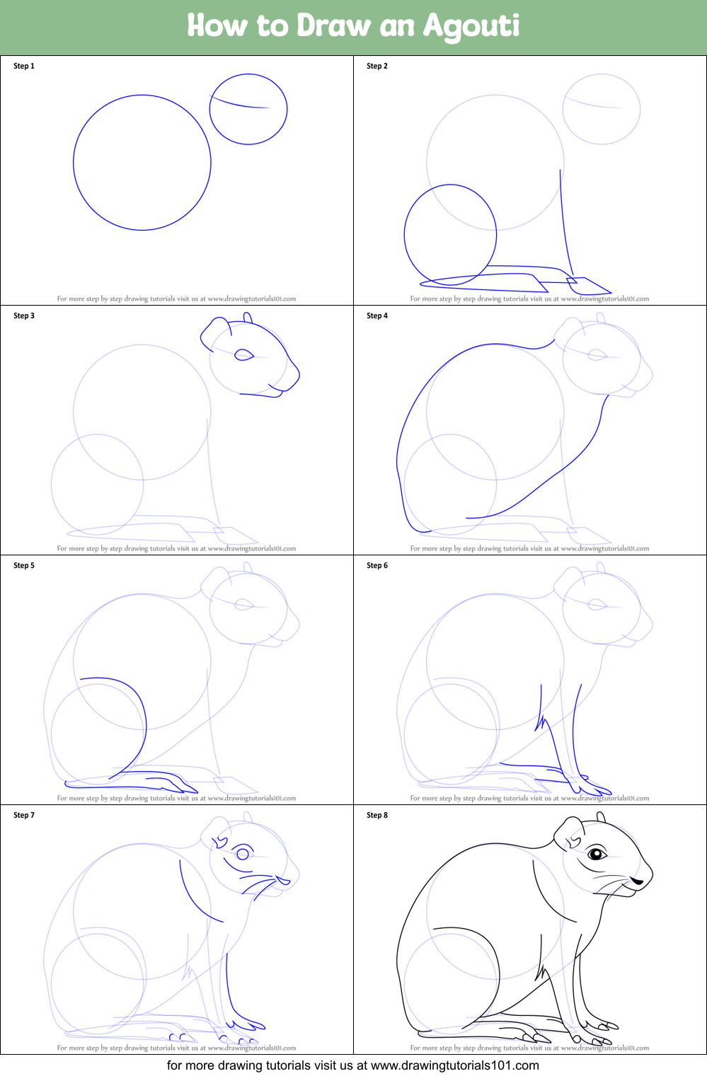 How to Draw an Agouti printable step by step drawing sheet ...