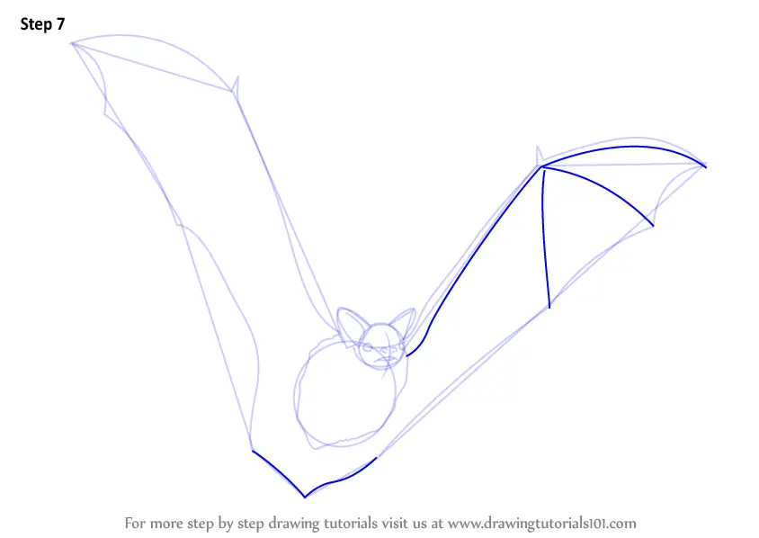 Learn How to Draw a Big Brown Bat (Other Animals) Step by Step ...