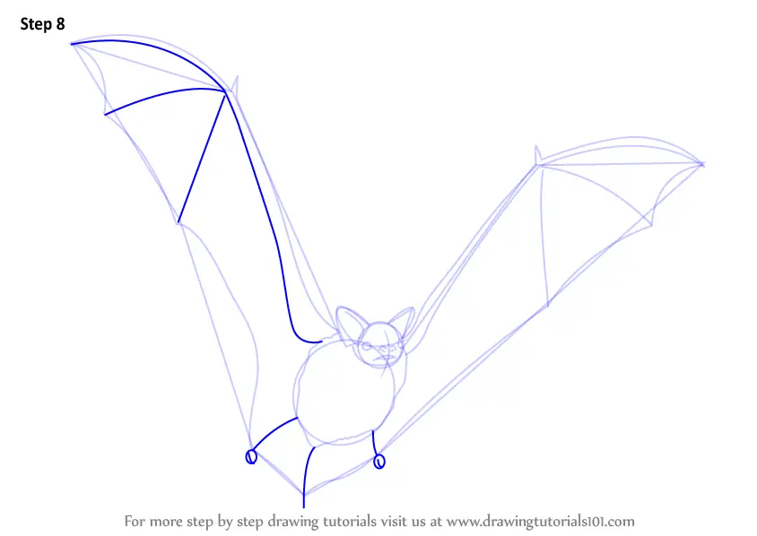 Learn How to Draw a Big Brown Bat (Other Animals) Step by Step ...