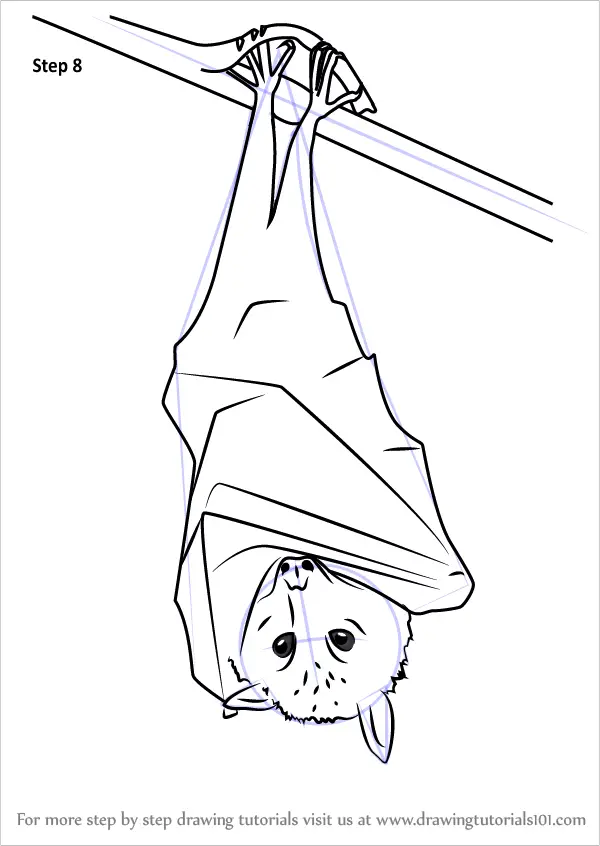 Learn How to Draw a Black Flying Fox (Other Animals) Step by Step ...